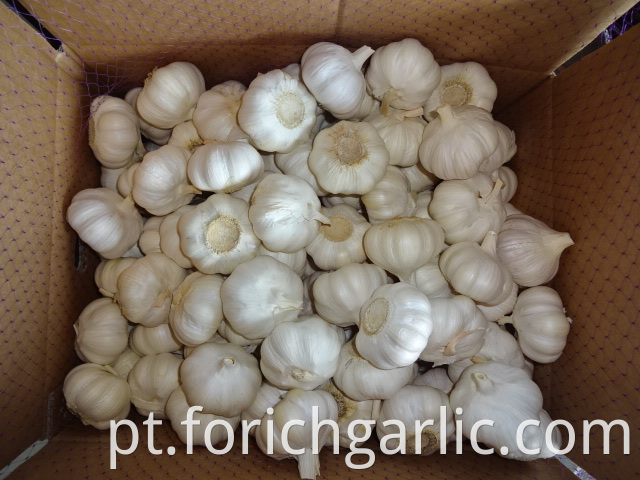 Fresh Pure Garlic 2019